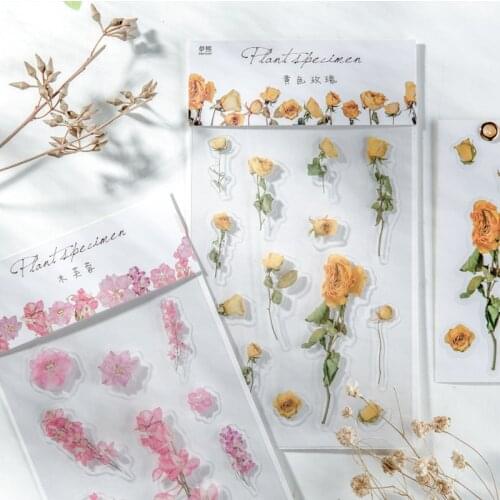 1pc Vintage Plant specimen series PET Transparent sticker package DIY diary Journal decoration sticker album scrapbooking