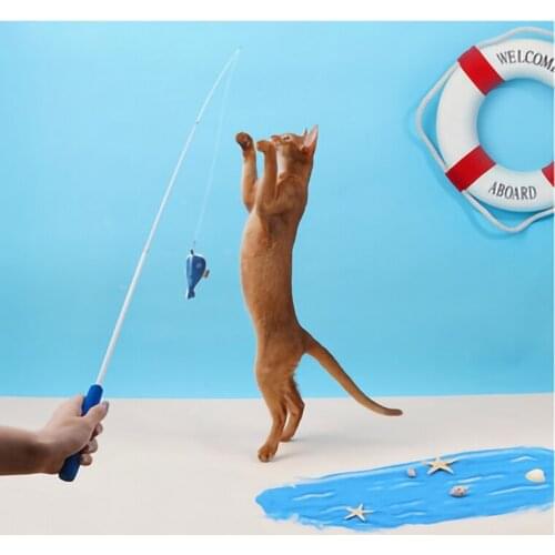 Retractable Funny Cat Rod Funny Cat Stick Fish For Cat Teeth Chewing Cat Toy Self-hey Fish Toy For Cat Simulation Fish Catnip To