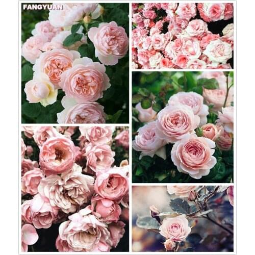 Diamond Embroidery Flowers Mosaic 5D Diy Flowers Diamond Painting Cross Stitch Kits Art Picture Rhinestone Home Decoration Gift
