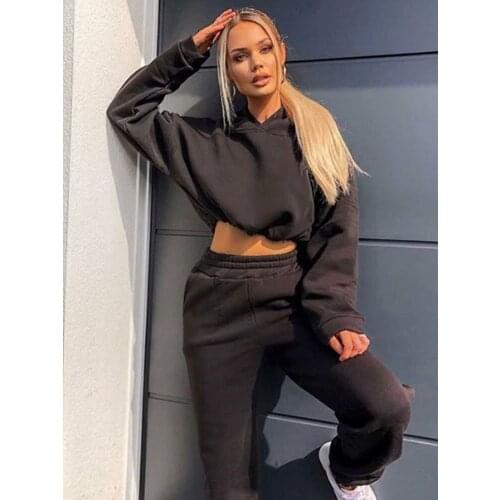 Two Piece Set Tracksuit Women Winter 2020 Plus Size Hoodies And Sweatpants Sportswear Suit Female Casual Outfits Sports Clothing