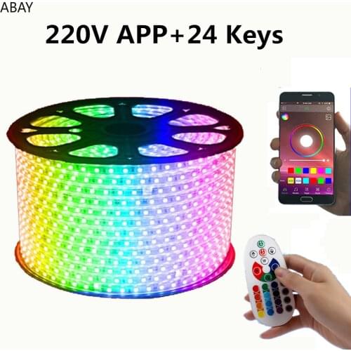 100M luces led strip 220v Outdoor garden led strips 220 V RGB 5050 IP67 Waterproof For christmas indoor ceiling With white light