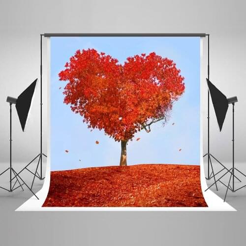 VinylBDS Custom Valentines day Backdrops Photography Backgrounds Romantic Backdrops For Photography Fotografia 2016