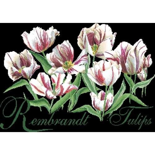 White tulip cross stitch package flower plant sets aida 18ct 14ct 11ct black cloth people kit embroidery DIY handmade needlework