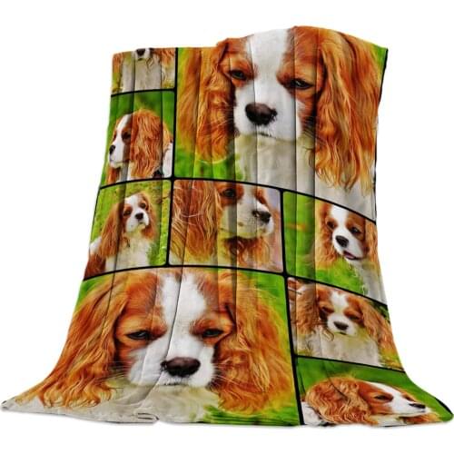 Dog Expression Form Throw Blanket Portable Soft Blanket for Sofa Microfiber Flannel Blankets for Beds