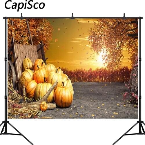 Capisco Autumn Harvest Pumpkins Photography Background Thanksgiving Baby Shower Birthday Backdrop Cake Table Decor Photo Booth