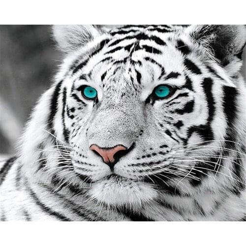 Blue-eyed Tiger head Animal DIY Digital Painting By Numbers Modern Wall Art Oil Painting Holiday Gift Home Decor Big Size