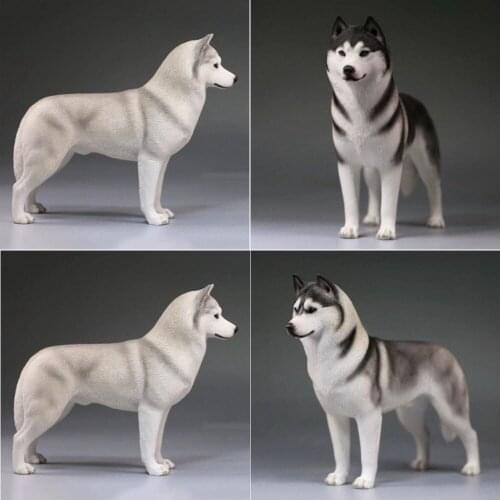 1/6 Scale Mr.Z Husky Siberian Husky Simulation Animal Dog Model Toy For 12' Action Figure PARTS Home Car Decoration