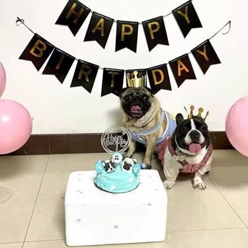 High Quality Spring Summer Pet Dog Dress Skirt Clothes For Small Medium Dogs Puppy Yorkie Pug French Bulldog HNC08