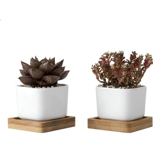 2Pieces Geometic White Ceramic Square Bonsai Planter Little Succulent Flower Pots Modern Small Cactus Flowerpot Bamboo Tray