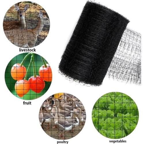 Garden Fruit Plant Tree Pond Protection Netting Anti Bird Net Preventing Crop Anti Bird Catcher Netting Mesh With 14 Stakes