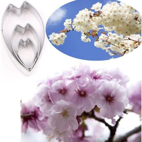 Sakura Petals 3Pcs Stainless Stell Cookie Cutter Pastry & Biscuit Baking Cutter Cake Decorating Tool Cupcake Mold Fondant Tool