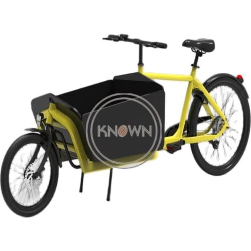 2 Wheel Alloy Electric Cargo Tricycle with Front and Rear Disc Brake Dutch Bike Bicycle Cargo Bike for Sale