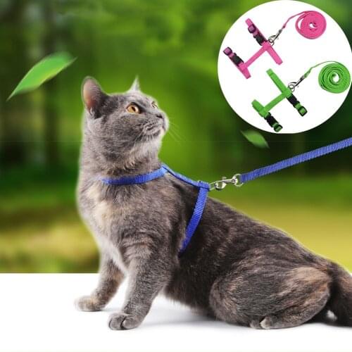 Dogbaby Collars For Cats