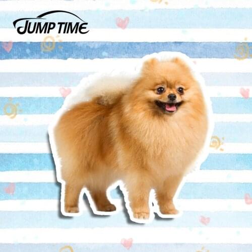 Jump Time 13cm x 12.5cm Pomeranian Dog Lovely Pet Sticker Vinyl Decal Car Cup Laptop Fridge 3D Car Styling Animal Car Stickers