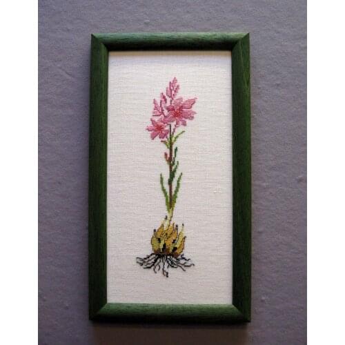 A beautiful little flower 18-39 Cross Stitch Set Cross-stitch Kit Embroidery Needlework Craft Packages Cotton Fabric Floss