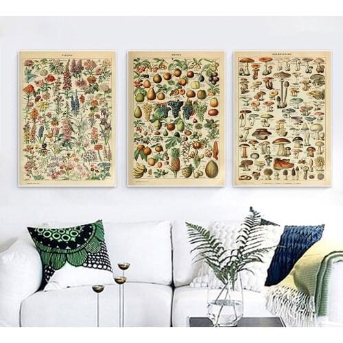 Antique Botanical Print Flowers Fruit Mushrooms Posters Vintage French Educational Wall Art Canvas Painting Pictures Home Decor