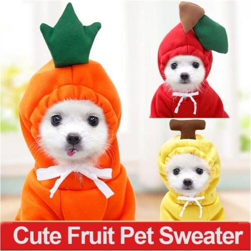 Winter Warm Pet Clothes Cute Dog Hoodies Fruit Costume Jacket For Kittens Puppies Cats Dog Clothes For Small Dog Pet Accessories