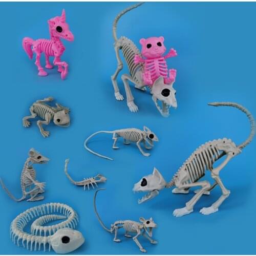 Animal Skeleton Bones Cat Mouse Scorpion Bat Bear Spider Unicorn Snake Crow Lizard Horror Party Decoration Halloween Prop Hunted