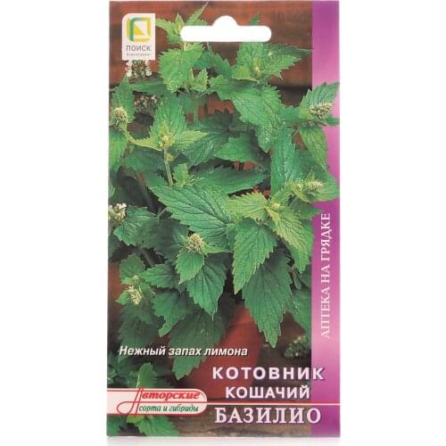 Котовник кошачий базилио ТМ Поиск агрохолдинг
