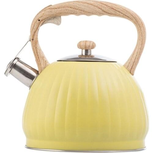 Kesoto Stainless Steel Kitchen Kettles China