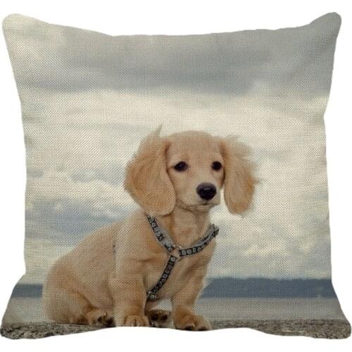 XUNYU 45cmx45m Cute Pet Dog English cocker spaniel Pattern Linen Decoration Pillowcase Cushion Cover Sofa Waist Pillowcase PC007