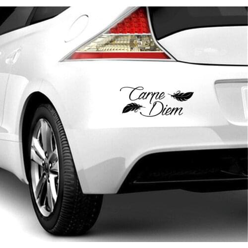 18X12CM Carpe Diem Car Stickers Vinyl Car Styling Art Sticker Creative Car Decal DIY Accessories Drop N726