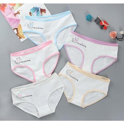 6pcs/Lot Cute Girls Underwear Childrens Cotton Panties Childrens Kids Underwear 10-16years