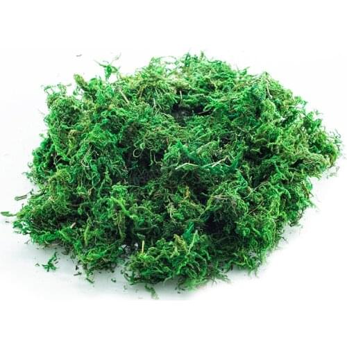 Natural 50g/bag dry real green artificial moss fake turf flower accessories decorative plants grass home flowerpot decoration