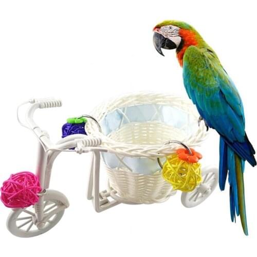 Mini Bike Trolley Shopping Cart Bird Parrot Toy Pet Intelligence Growth Rattan Ball White Small Ball Decoration Removable Cart