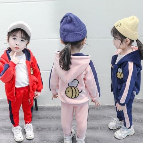 Autumn Winter Newborn Baby girl clothes Girls Kids Thick Velvet Hooded coat+pants 2pcs Suit For Boys Toddler Tracksuit Clothes