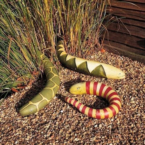 Tohhum Snake Gourd Seeds 3'lü