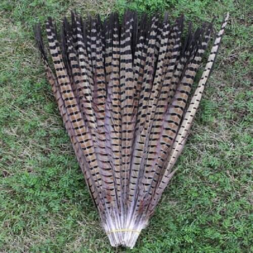 100 PCS high quality Natural color pheasant tail feathers 20-22 inches / 50 to 55 cm