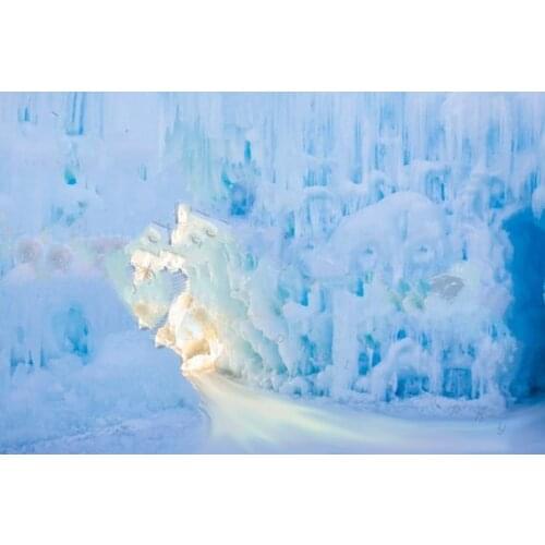 Winter Snow Princess Ice Castle Fairy tale light backgrounds High quality Computer print wedding backdrop
