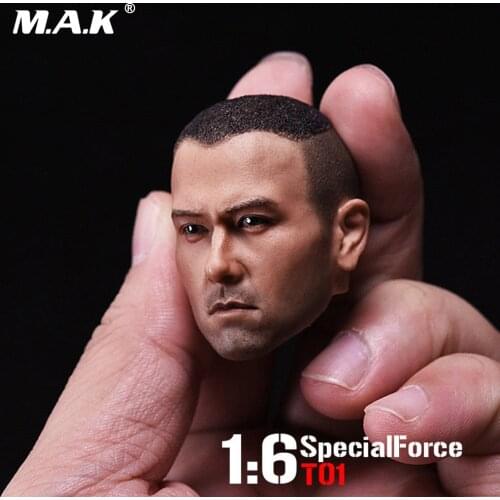 1/6 Scale Asia Male Head Sculpt Special Force T01 Peng Yuyan Head Carving Model For 12" Action Figure Collection Toys Gift