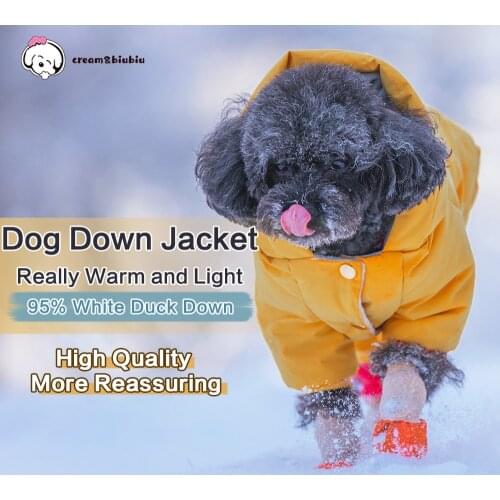 CREAM&BIUBIU Pet dog cat Winter Down jacket clothes for Small Medium dog Warm thick Teddy dog coat