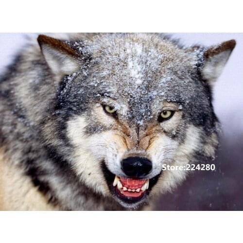 Needlework,for embroidery,DIY Aida Att 14CT Unprinted Cross stitch kits set Animal Wolf Cross-Stitching home decor crafts