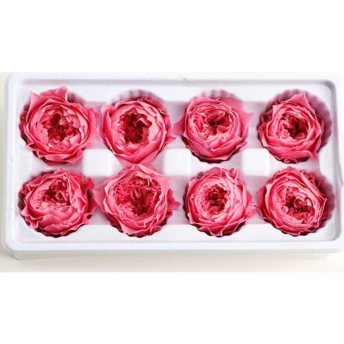 8pcs/Box Preserved Flower Eternal Rose Austin Head Home Decor Indie Room Decoration Gift Artificial Flower DIY Party Wedding