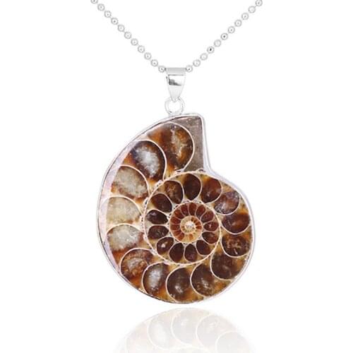 Wholesale 3pcs/lots Natural Stones Men Pendants Ammonite Fossils Seashell Snail Ocean Reliquiae Conch Animal Necklace