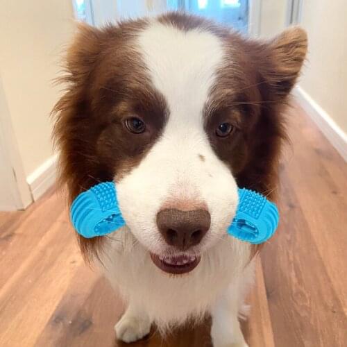 Dog Toothbrush Silicone Chew Stick Cleaning Toys Brushing Oral Dental Care Product For Pet Dog food ball Supplies Accessories