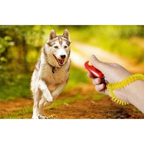 1PC Dog Pet Clicker Training Obedience Agility Trainer Aid Wrist Strap Great for training Obedience Dog Toys Pet Accessories