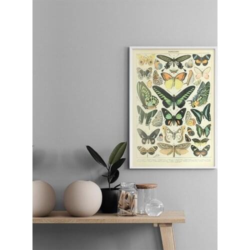 Vintage Butterfly Prints Insect Nature Kids Education Poster Nursery Wall Art Pictures Canvas Painting Children Room Decoration