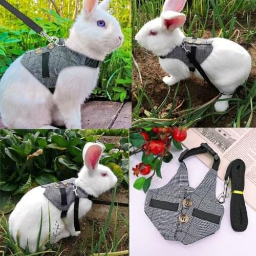 Puppy Rabbits Hamster Vest Harness With Leas Bunny Chest Strap Harnesses Ferret Guinea Pig Small Animals Pet Accessories S/M/L