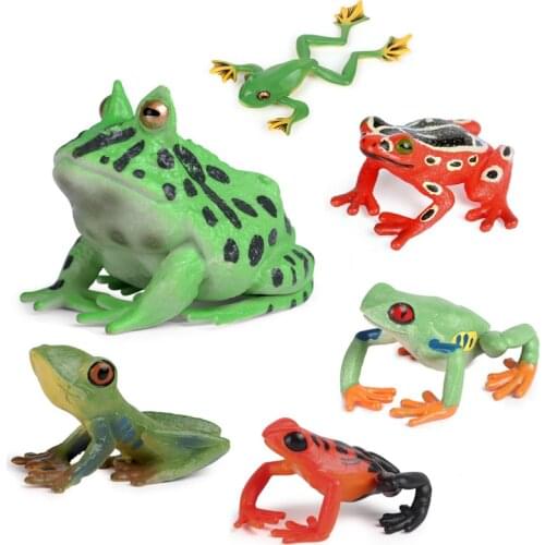 Simulation Action Mini Frog Bullfrog Tree frog Bullfrog Collection Animal Figures Model Cognition Educational toys for childrens