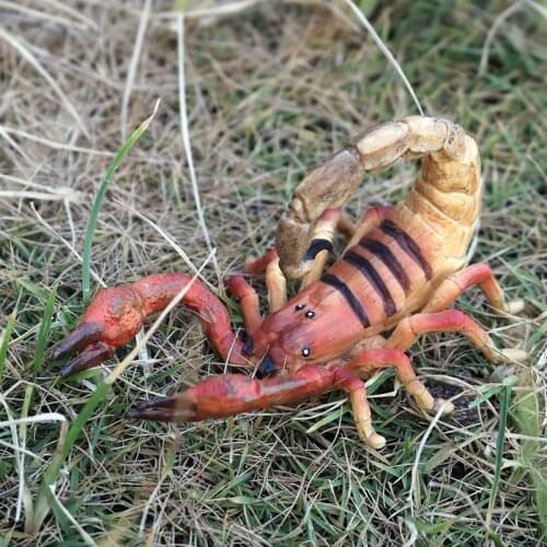 Animal Model Scorpion Simulation April Fools Day Halloween Party Toys Fake Insects Jokes Pranks Maker Fun Novelty Tricks Toys