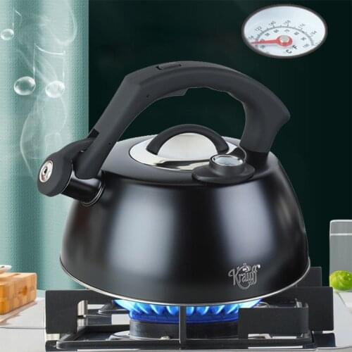 2.5/3.5L Gas furnace/Induction cooker Stainless Steel Teapot Kitchen Whistle Kettle Samovar Thermo pot warmer With Meter Sonifer