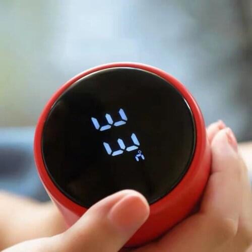 500ML Thermos Vacuum Flasks Temperature Display 304Stainless Steel My Hot Water Bottle Travel Coffee Mug Tea Milk Mug Thermo cup