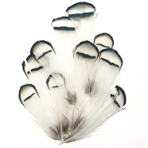 20-100pcs/lot Feather Pheasant Chicken Feathers for Jewelry Making Christmas Holiday Decoration Accessories Plumes 3-7cm