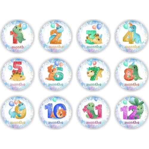 12 Pcs/Set Baby Pregnant Monthly Stickers Cute Dinosaur Memory Recording Milestone Sticker Newborn Growth Photo Photography Prop