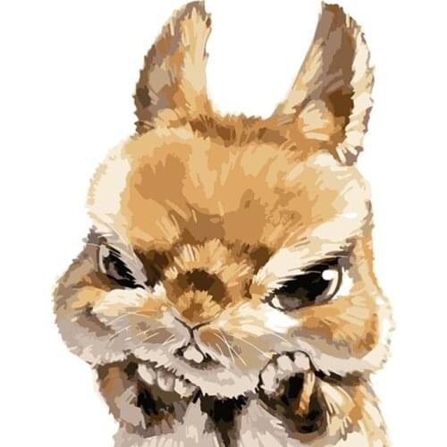 Bunny lovely Gift for chil Child DIY Digital Painting By Numbers Modern Wall Art Canvas Painting Unique Gift Home Decor 40x50cm