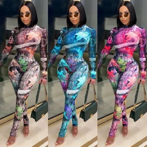 Vintage Fashionable Sexy Printing See-through Mesh Two-piece Women Clubwear Jumpsuit Streetwear Women Bodysuit Leggings Sets
